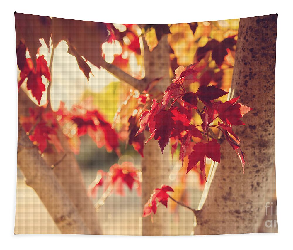 Autumn Tapestry featuring the photograph A Warm Red Autumn by Linda Lees