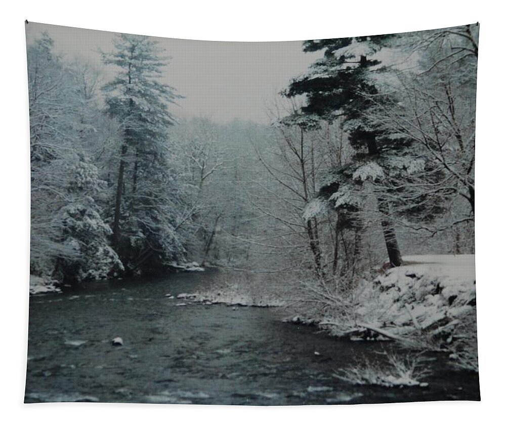 B&w Tapestry featuring the photograph A Winter Waterland by Rob Hans