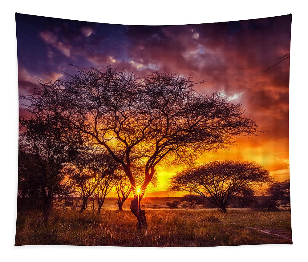 Africa Tapestry featuring the photograph A Wish at Sunset by Sylvia J Zarco