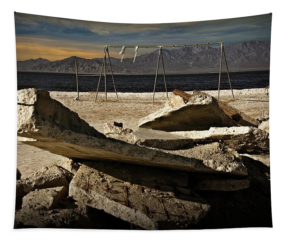 California Tapestry featuring the photograph Abandoned Ruins on the Eastern Shore of the Salton Sea by Randall Nyhof