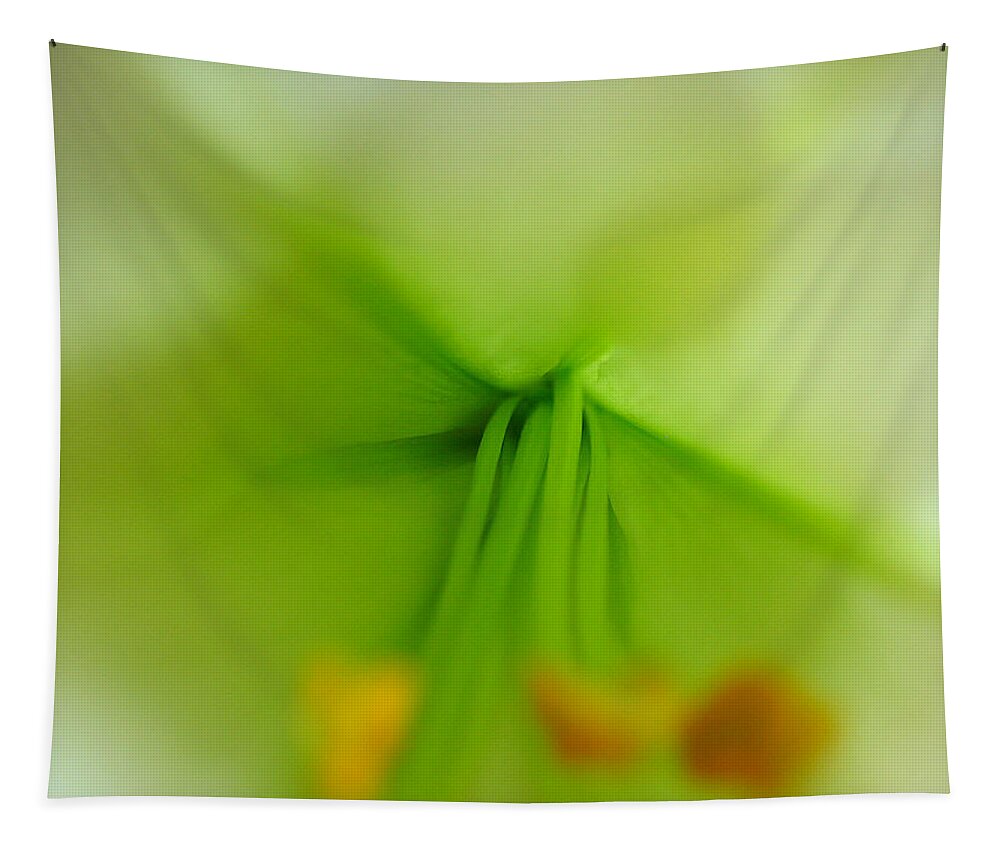 Lily Tapestry featuring the photograph Abstract Easter lily Petals by Juergen Roth