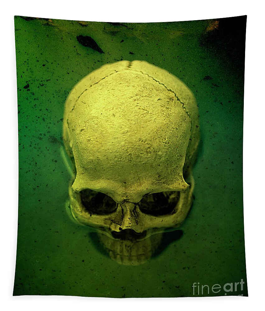 Swamp Tapestry featuring the photograph Acid Pool Skull by Edward Fielding