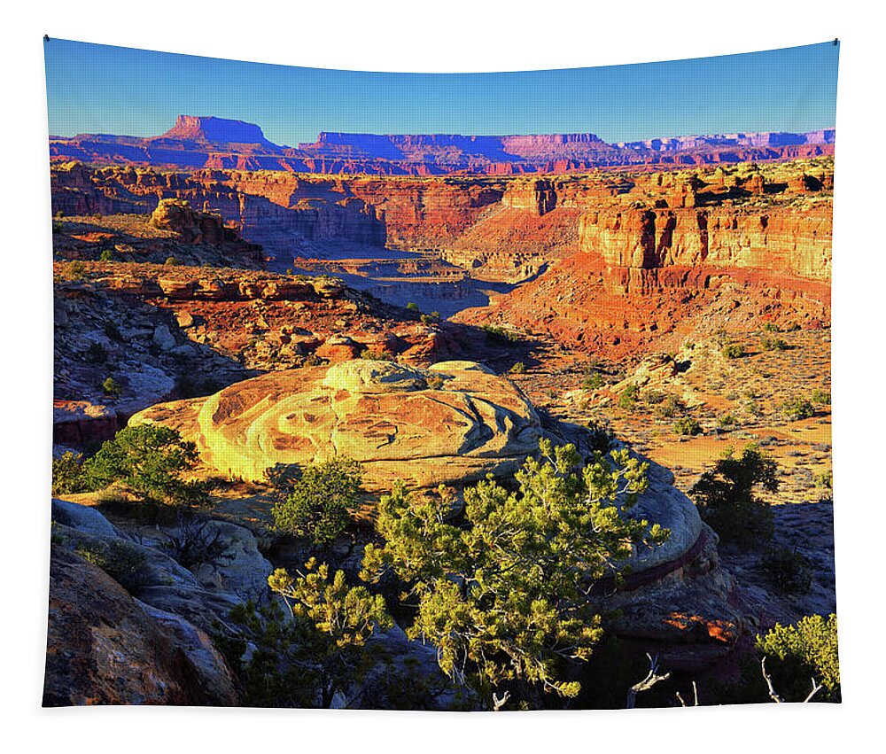 Canyonlands Tapestry featuring the photograph Across Canyonlands by Greg Norrell