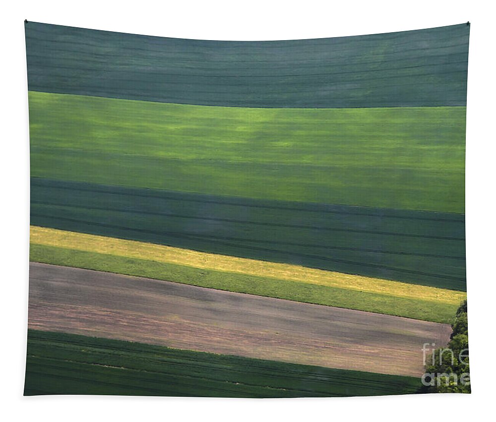 Aerial Tapestry featuring the photograph Aerial Abstract by Teresa Zieba