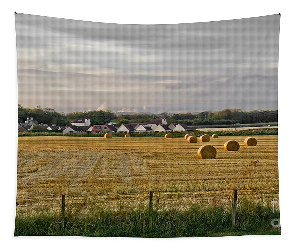 Evening Landscape Tapestry featuring the photograph After harvest. by Elena Perelman