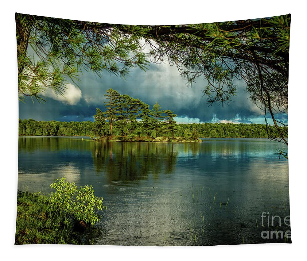 Buck Lake Tapestry featuring the photograph After the Rain by Roger Monahan