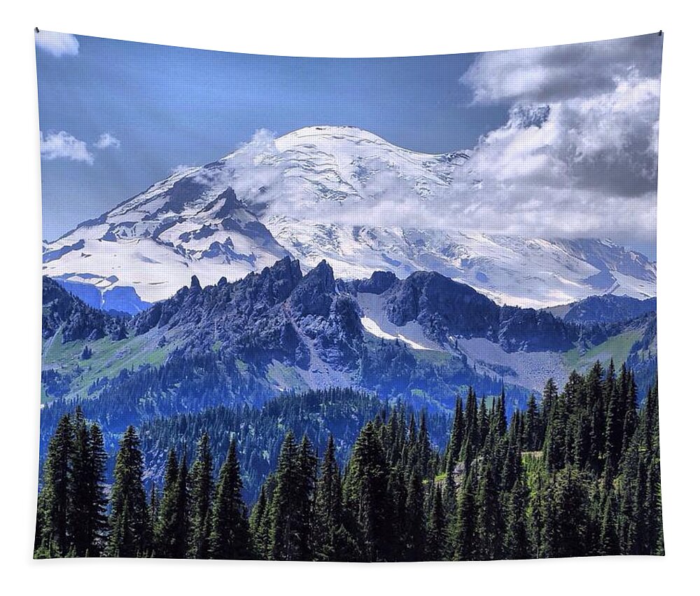 Afternoon Majesty Tapestry featuring the photograph Afternoon majesty by Lynn Hopwood