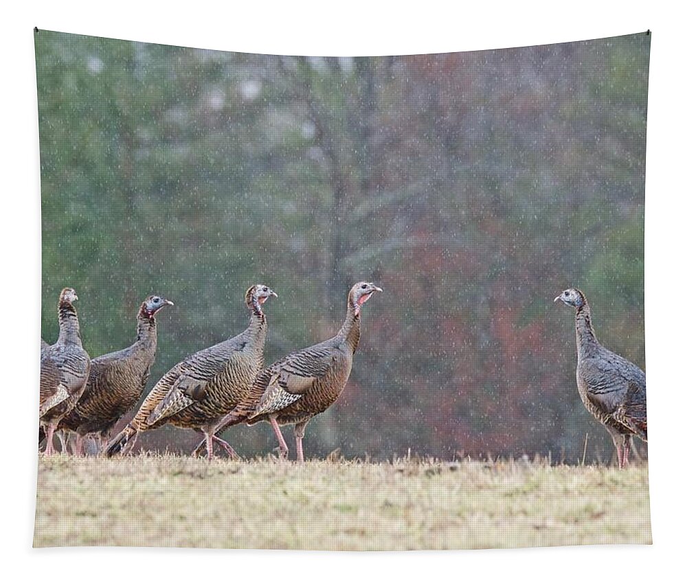 Turkey Tapestry featuring the photograph Against the Crowd 1287 by Michael Peychich