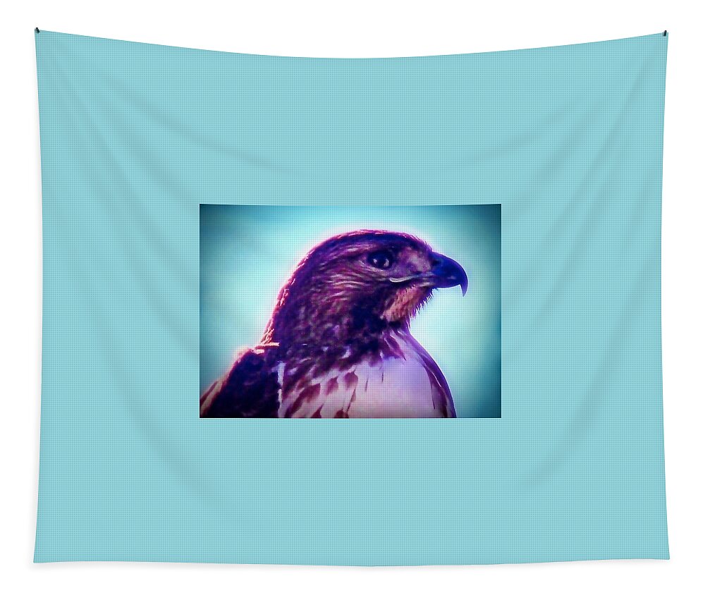 Ak Chin Tapestry featuring the photograph Ak-Chin Red-Tailed Hawk Portrait by Judy Kennedy