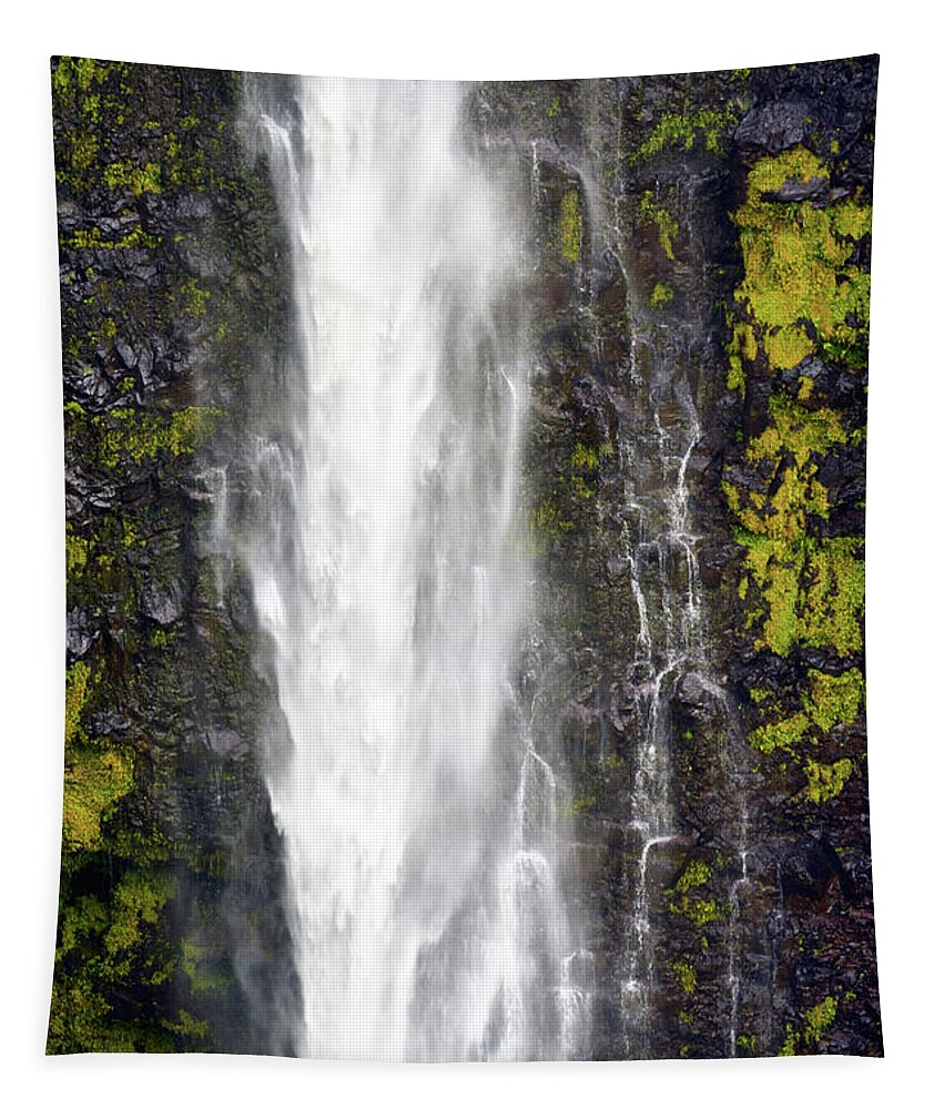 Akaka Falls Tapestry featuring the photograph Akaka Falls Close Up by Christopher Johnson