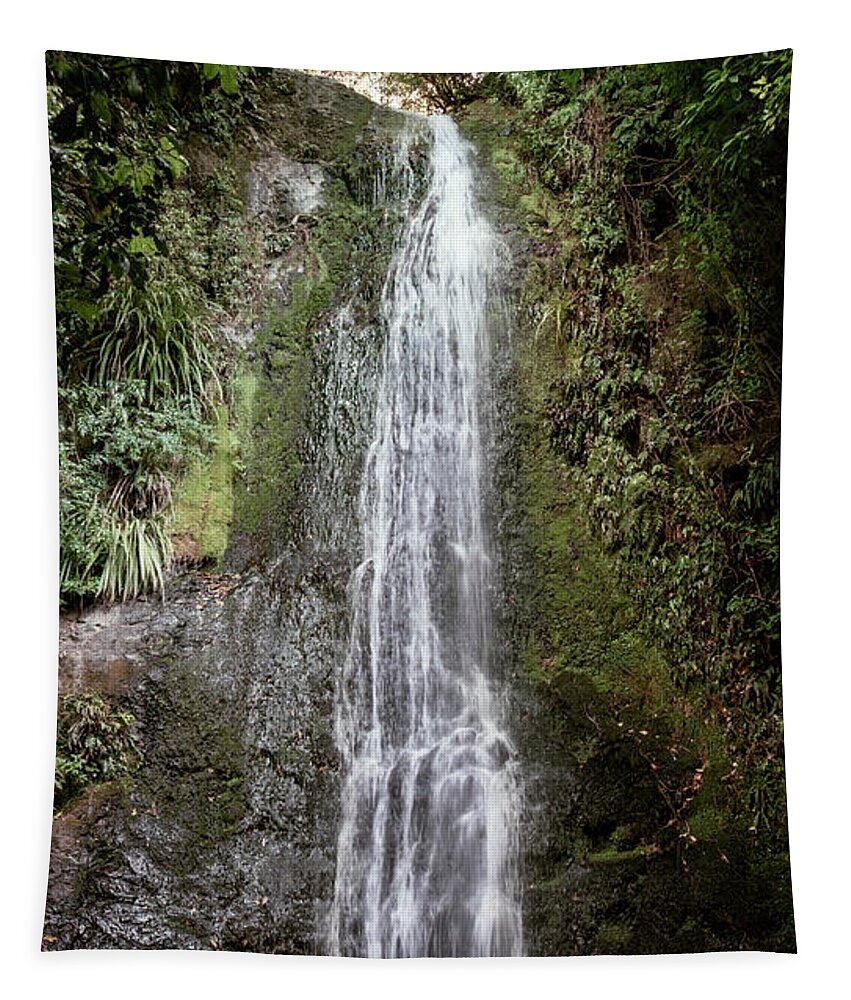 Joan Carroll Tapestry featuring the photograph Banks Peninsula Waterfall New Zealand by Joan Carroll