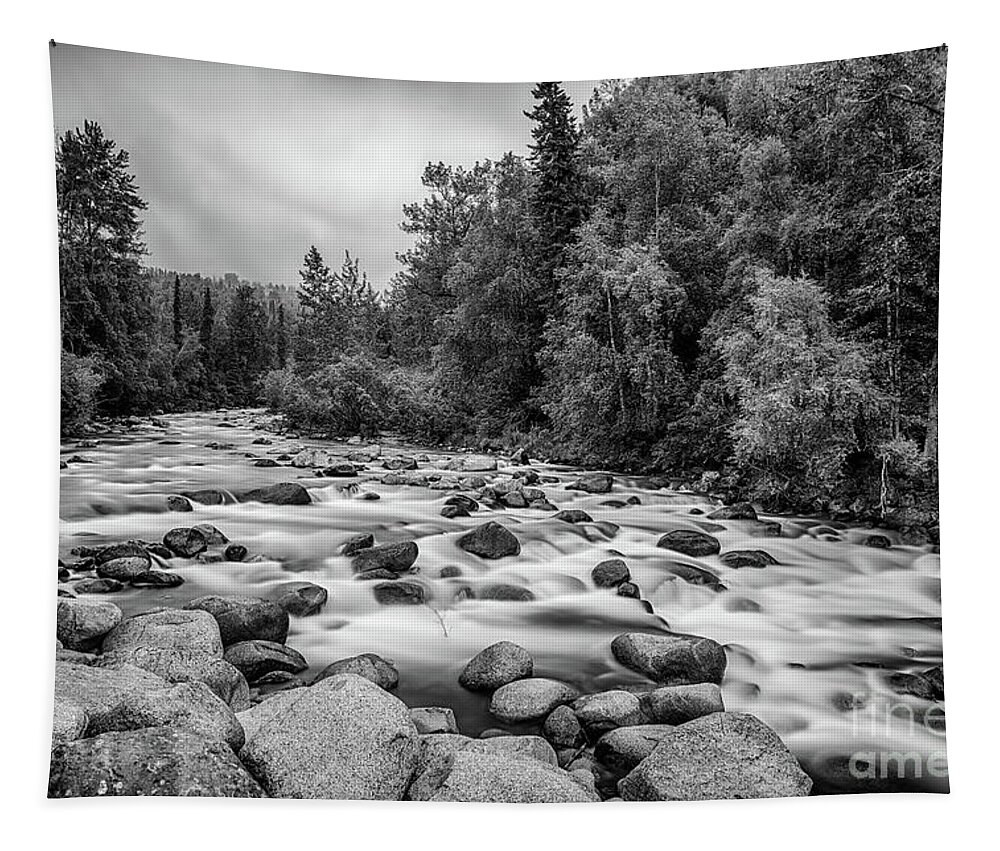 Alaska Tapestry featuring the photograph Alaskan Stream in black and white by Paul Quinn