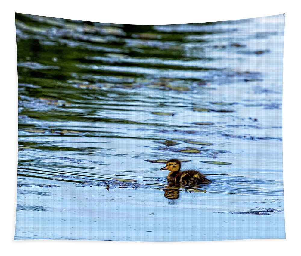 Duckling Tapestry featuring the photograph All By Myself by Belinda Greb