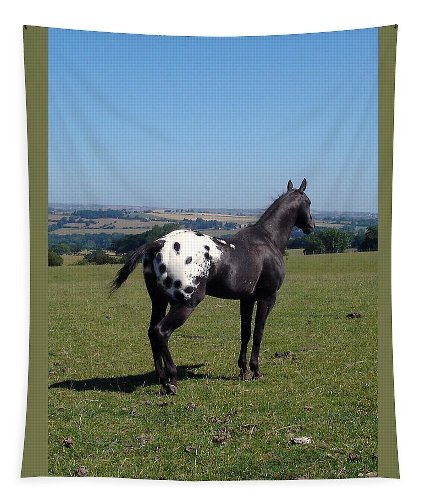 Horses Tapestry featuring the photograph All he surveys by Susan Baker