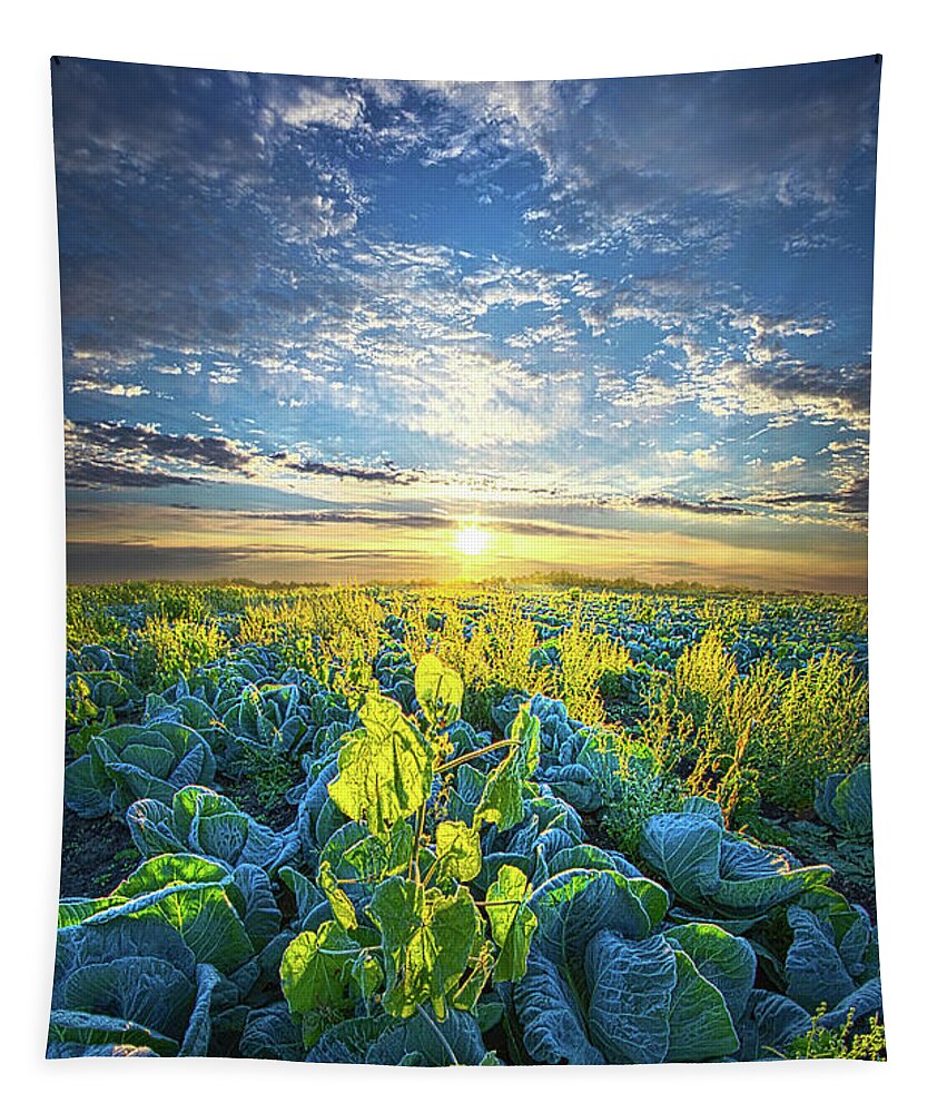 Clouds Tapestry featuring the photograph All Joined As One by Phil Koch