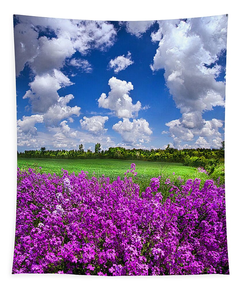 Flowers Tapestry featuring the photograph All That Love Requires by Phil Koch