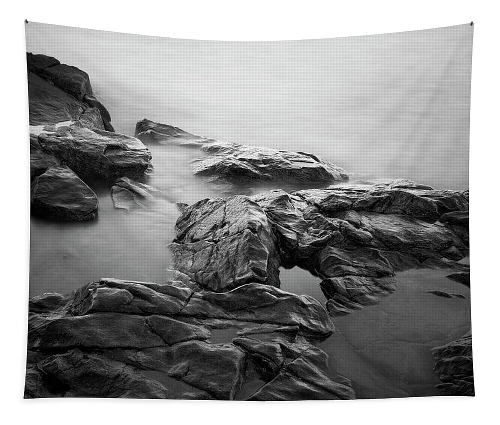 Allens Pond Tapestry featuring the photograph Allens Pond VII BW by David Gordon