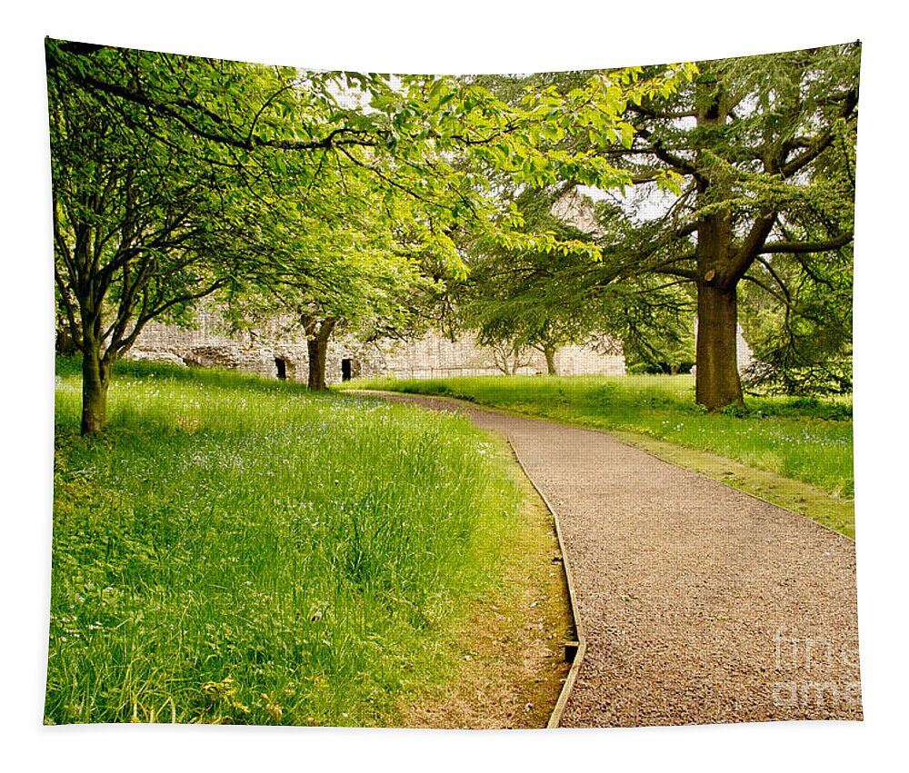 Dryburgh Tapestry featuring the photograph Alley of Silence. by Elena Perelman