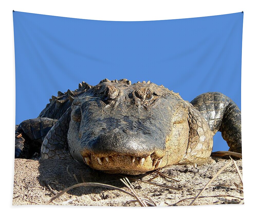 Gator Tapestry featuring the photograph Alligator Approach .png by Al Powell Photography USA