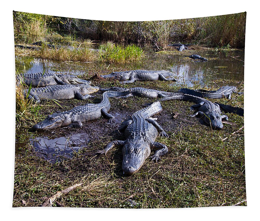 Nature Tapestry featuring the photograph Alligators 280 by Michael Fryd