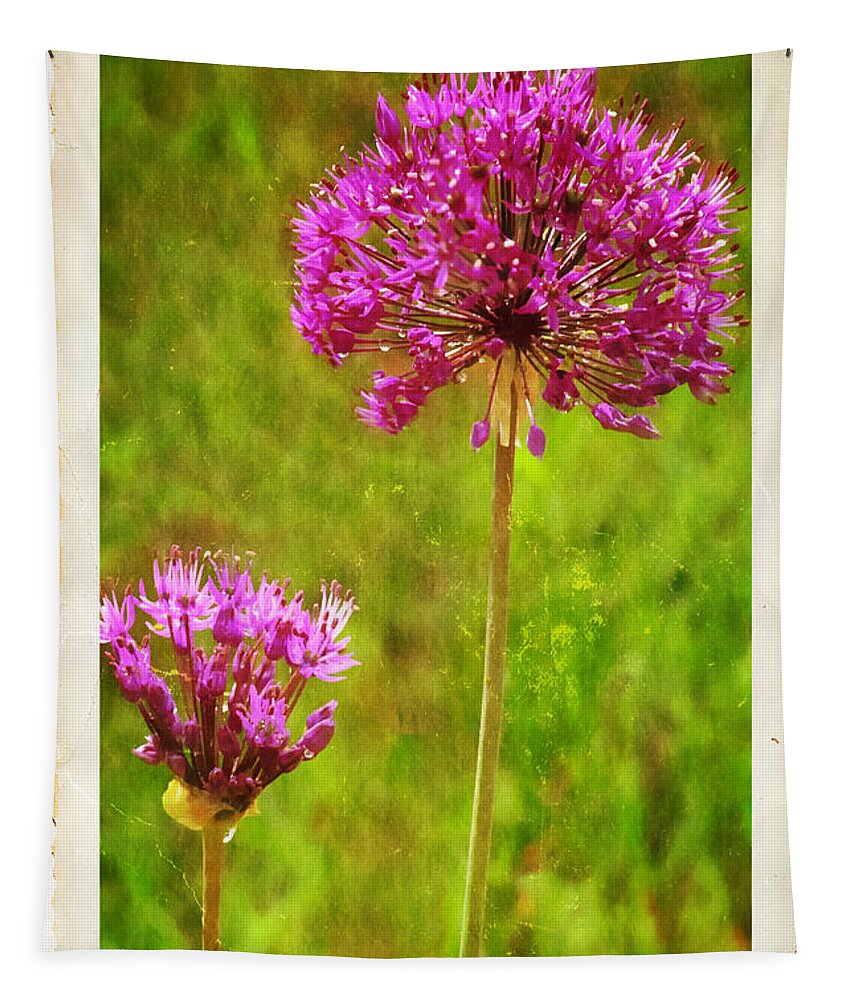 Allium Tapestry featuring the photograph Allium Old Photo by Peggy Dietz
