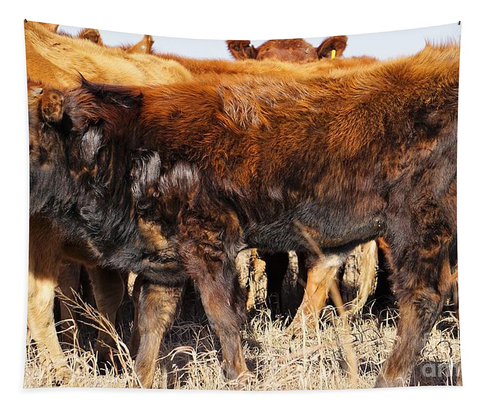 Calf Tapestry featuring the photograph Almost as Tall by Merle Grenz