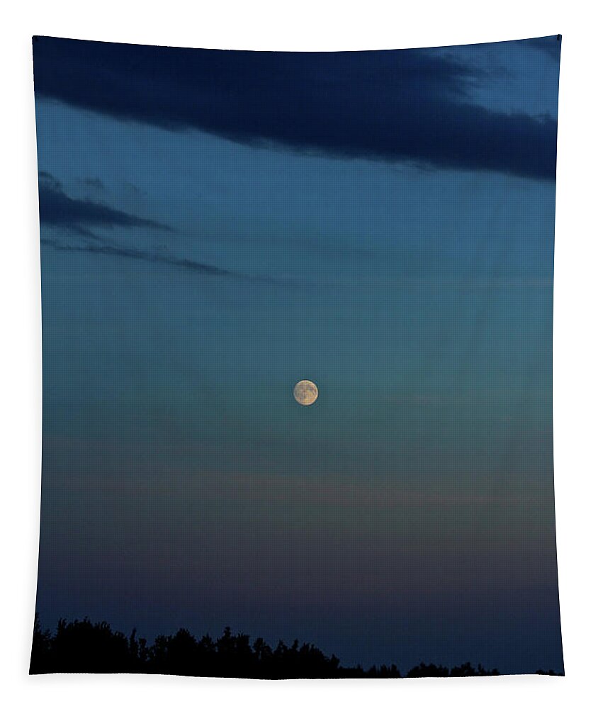 Full Moon Tapestry featuring the photograph Almost Full Moon by Ann E Robson