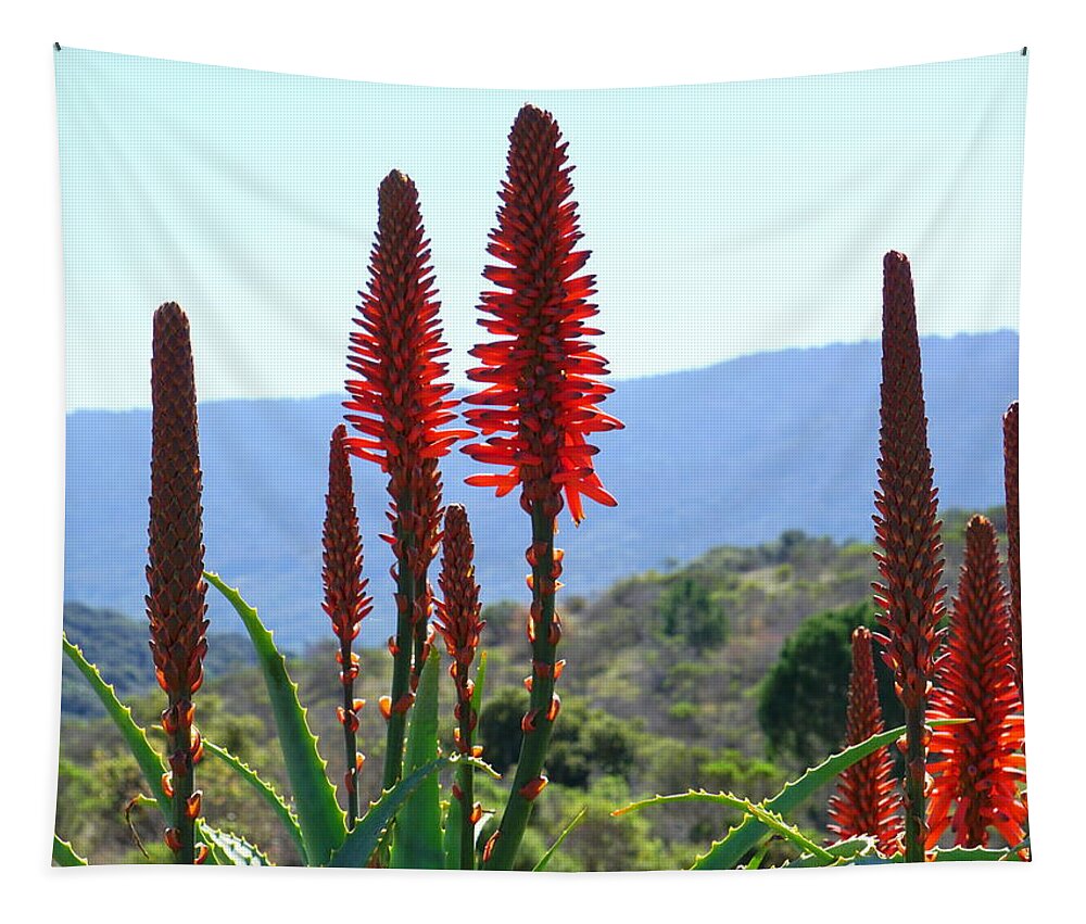 Flowers Tapestry featuring the photograph Aloe ready to go red by Yuri Tomashevi