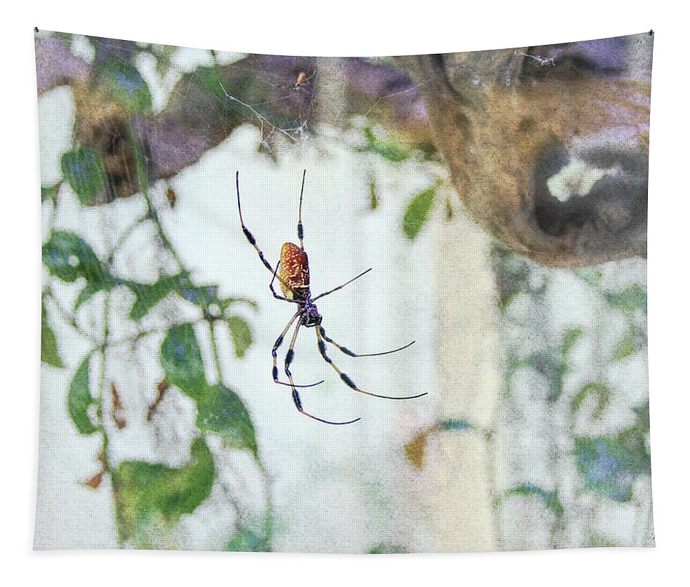 Along Came A Spider Tapestry featuring the photograph Along Came a Spider by Bonnie Follett
