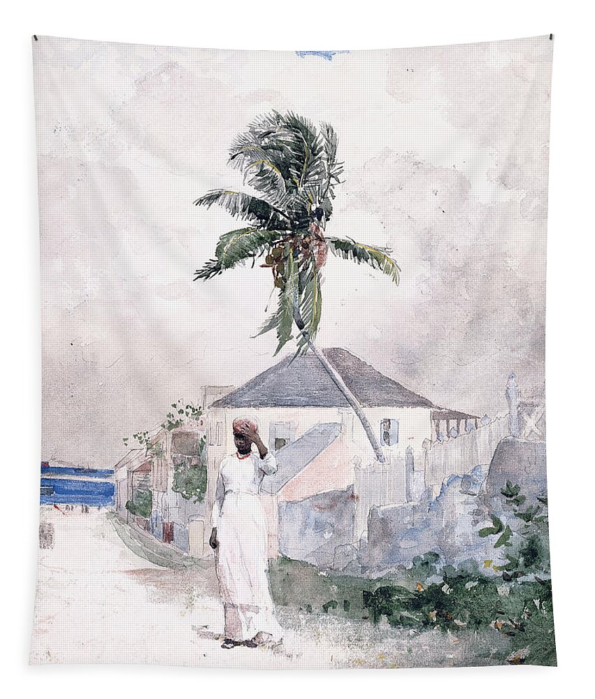 Along The Road Tapestry featuring the painting Along the Road  Bahamas 1885 by Winslow Homer