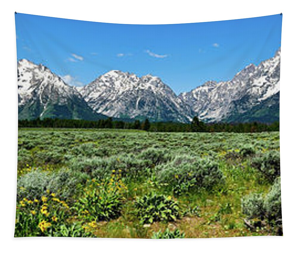 Tetons Tapestry featuring the photograph Alpine Meadow Teton Panorama II by Greg Norrell