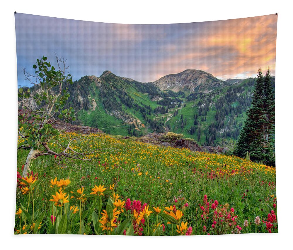 Wildflower Tapestry featuring the photograph Alta Wildflowers and Sunset by Brett Pelletier