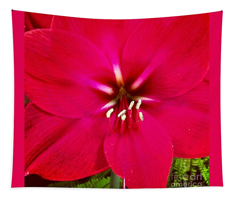 Flower Tapestry featuring the photograph Amaryllis Detail by Denise Railey