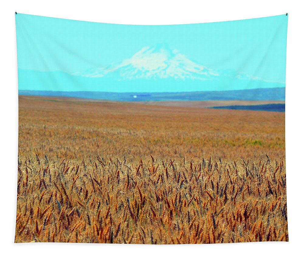 Beautiful Tapestry featuring the photograph Amber Waves of Grain by Brian O'Kelly