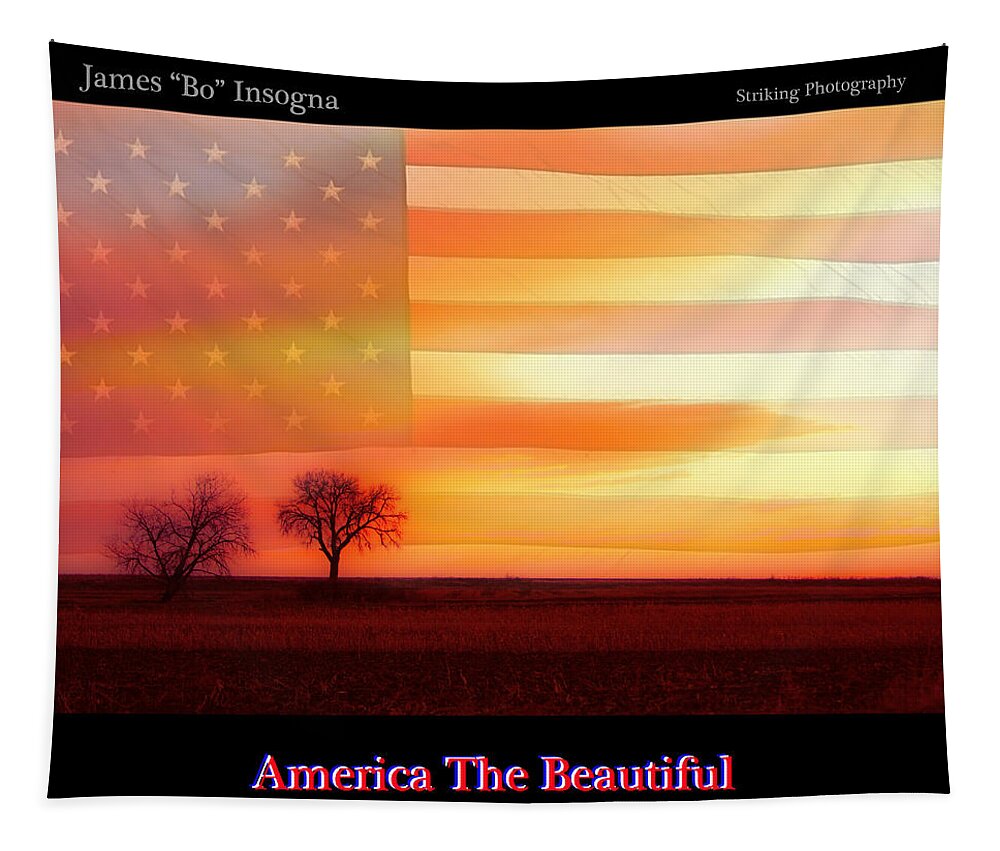 America Tapestry featuring the photograph America the Beautiful Country Poster by James BO Insogna