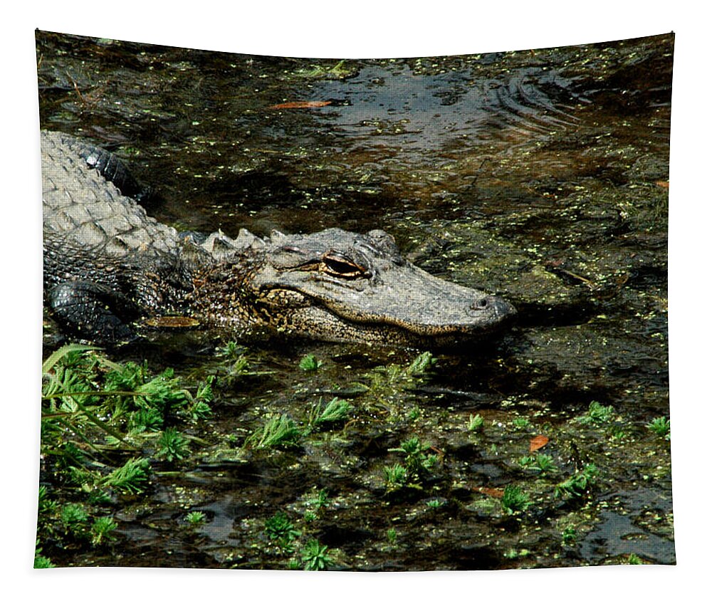 Alligator Tapestry featuring the photograph American Alligator 2 by David Weeks
