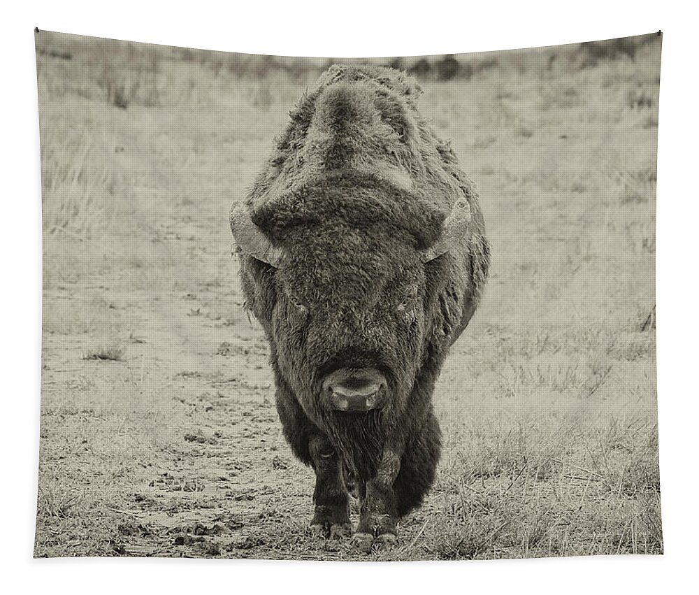 Bison Tapestry featuring the photograph American Bison Head On in Sepia by Tony Hake