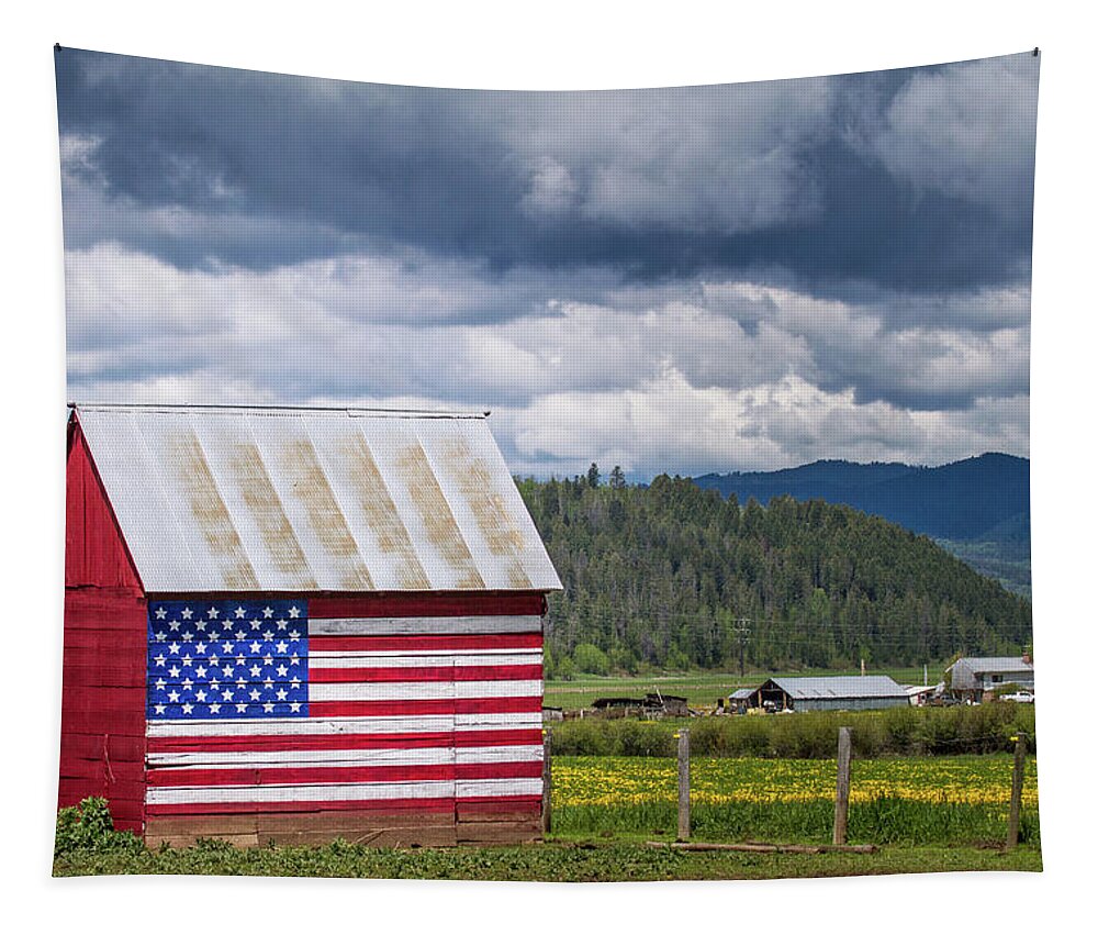 America Tapestry featuring the photograph American Landscape by Wesley Aston