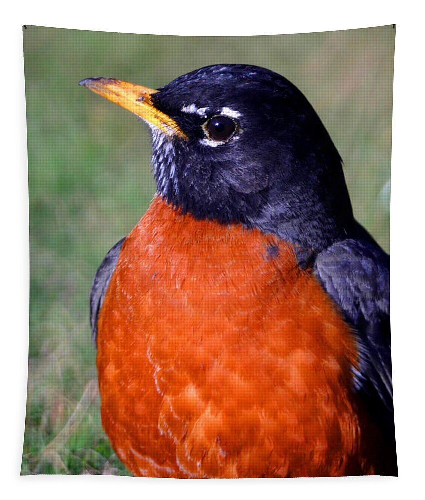 Bird Tapestry featuring the photograph American Robin by Karol Livote