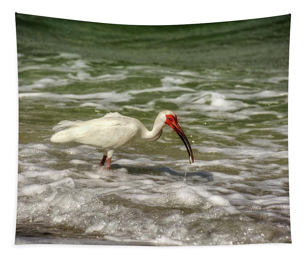 American White Ibis Tapestry featuring the photograph American White Ibis by Greg and Chrystal Mimbs