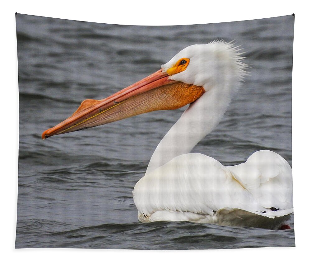 Pelican Tapestry featuring the photograph American White Pelican by Mindy Musick King
