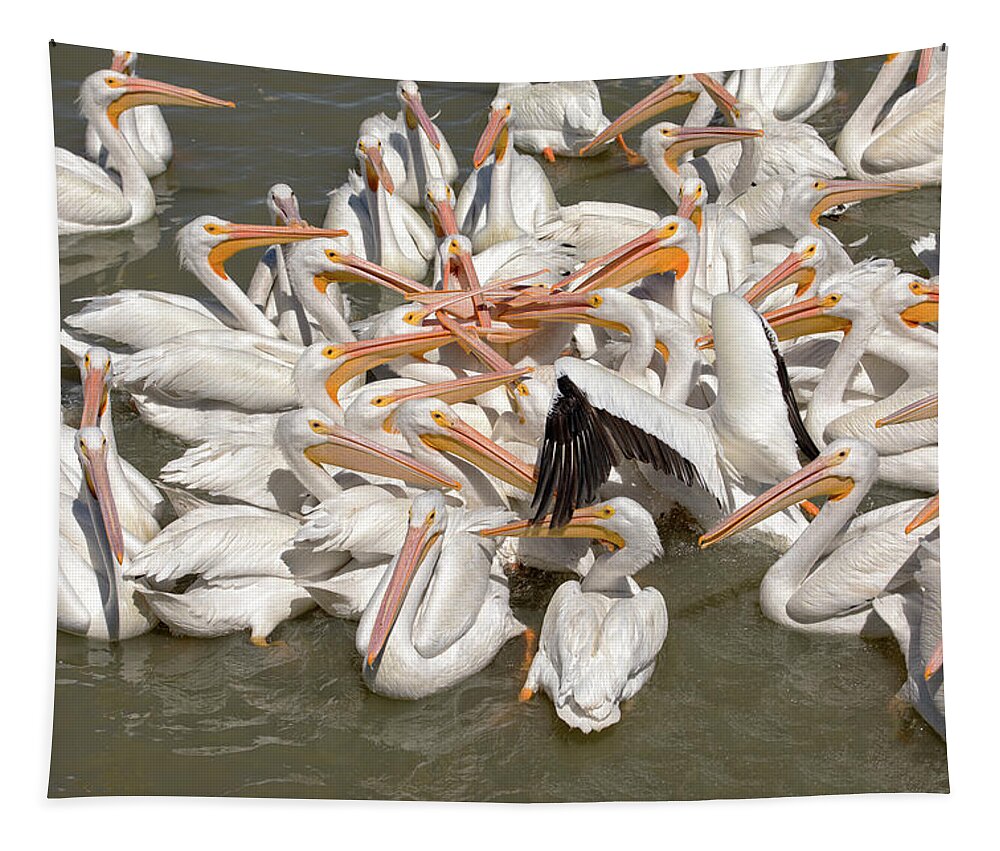 Pelicans Tapestry featuring the photograph American White Pelicans by Eunice Gibb