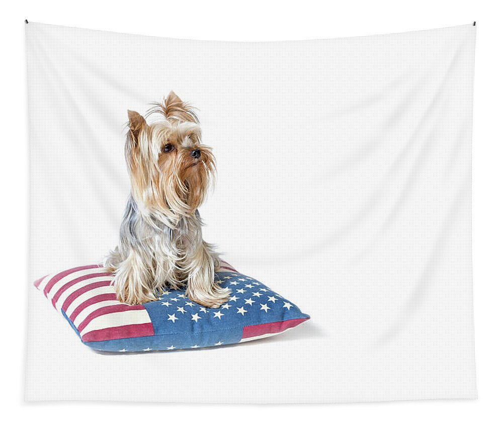 Cute Tapestry featuring the photograph American Yorkshire Terrier by Jaroslav Frank