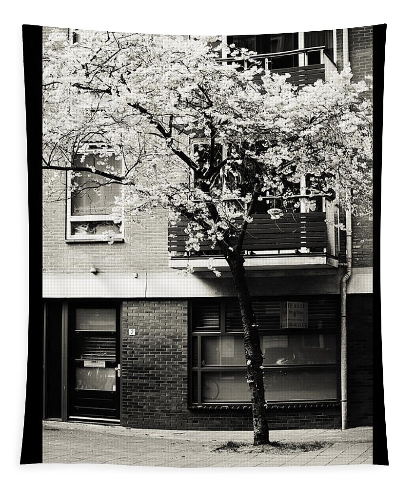 Jenny Rainbow Fine Art Photography Tapestry featuring the photograph Amsterdam Posters. Blooming Sakura by Jenny Rainbow