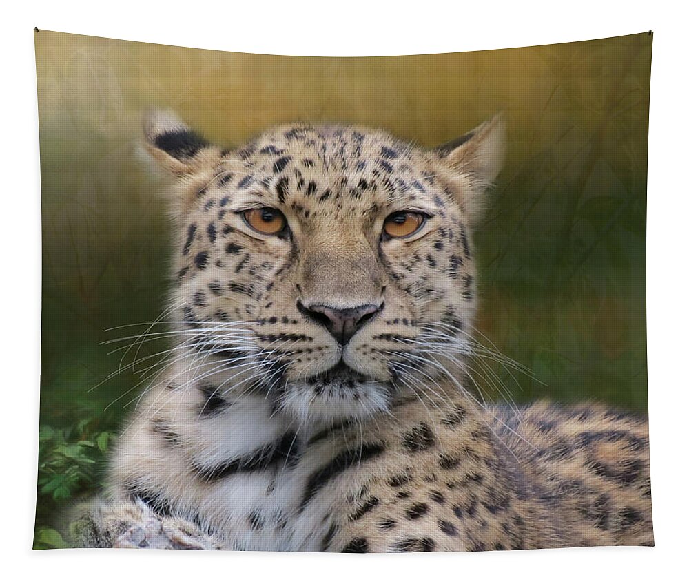 Leopard Tapestry featuring the photograph Amur Leopard by Patti Deters