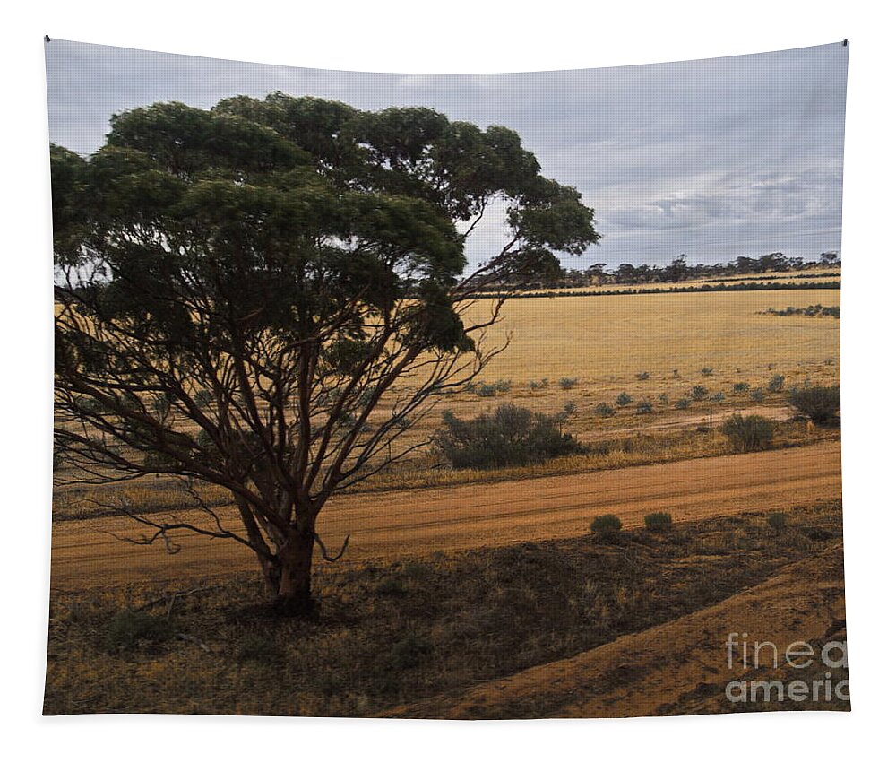 Digital Color Photo Tapestry featuring the photograph An Australian Tree by Tim Richards