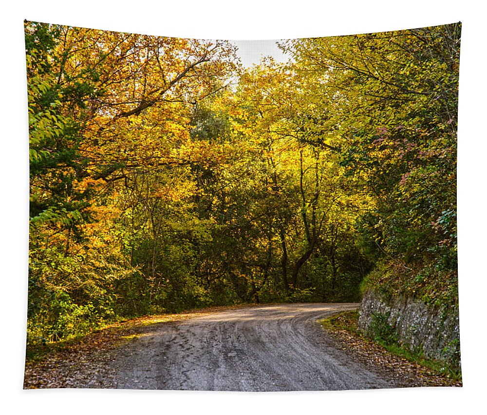 Fall Tapestry featuring the photograph An autumn landscape - HDR 2 by AM FineArtPrints