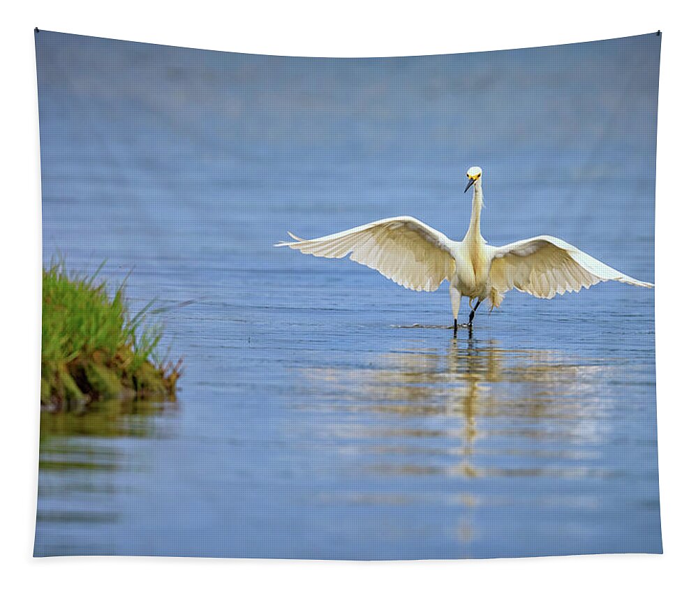 Snowy Egret Tapestry featuring the photograph An Egret Spreads Its Wings by Rick Berk