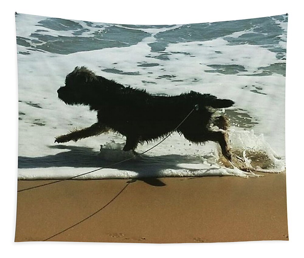 Dog Tapestry featuring the photograph Seaside Frolics by Rowena Tutty