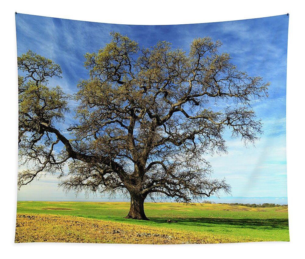Oak Tapestry featuring the photograph An Oak In Spring by James Eddy